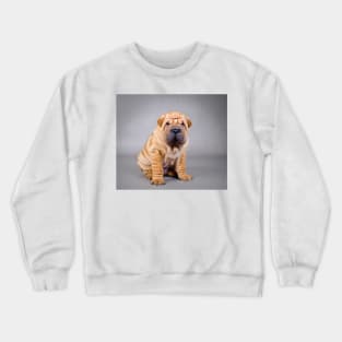 Shar pei puppy Crewneck Sweatshirt